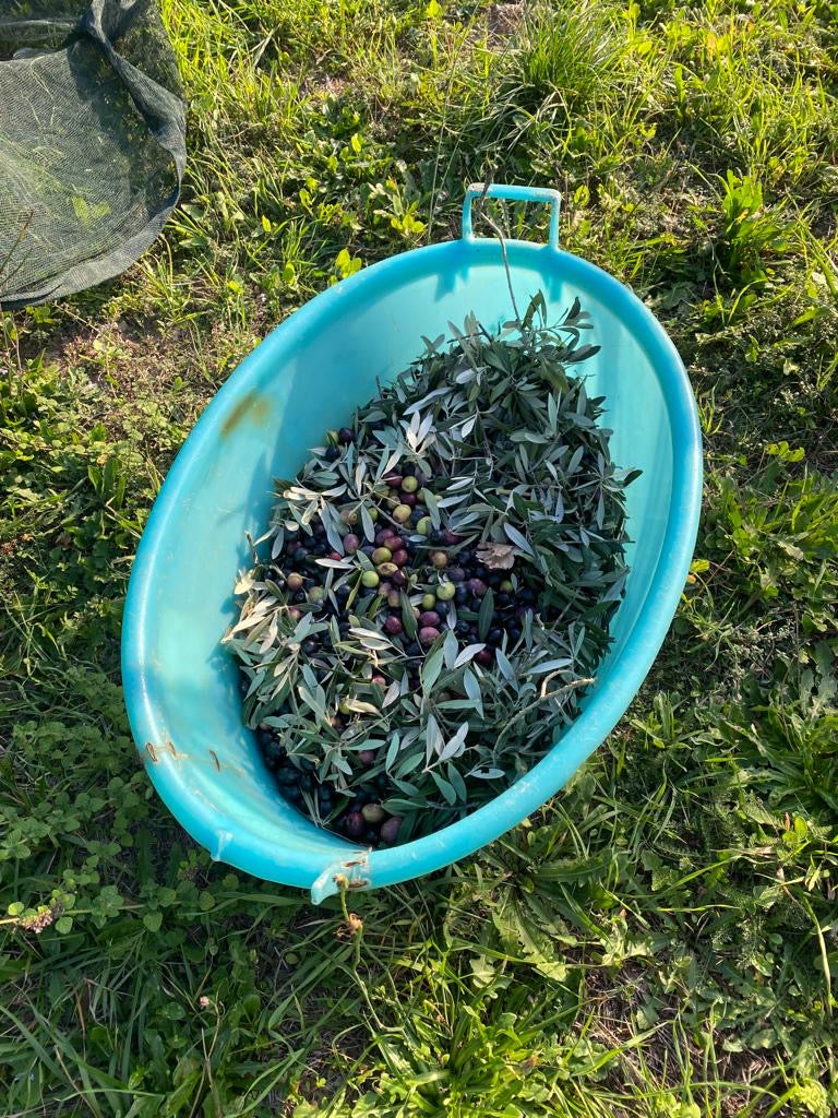 Olio Della Franca