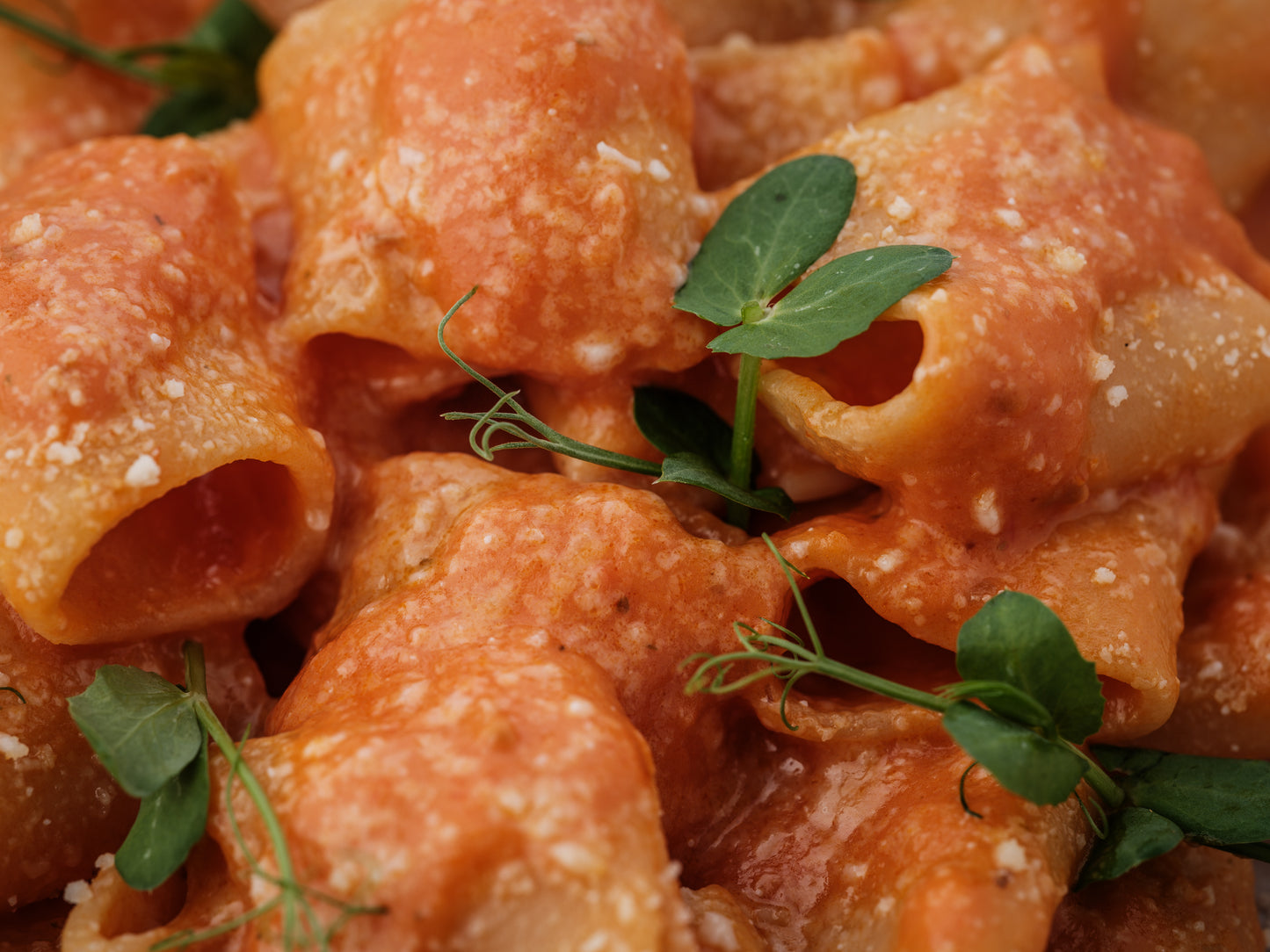 mezzi paccheri / vodka pomodoro sugo