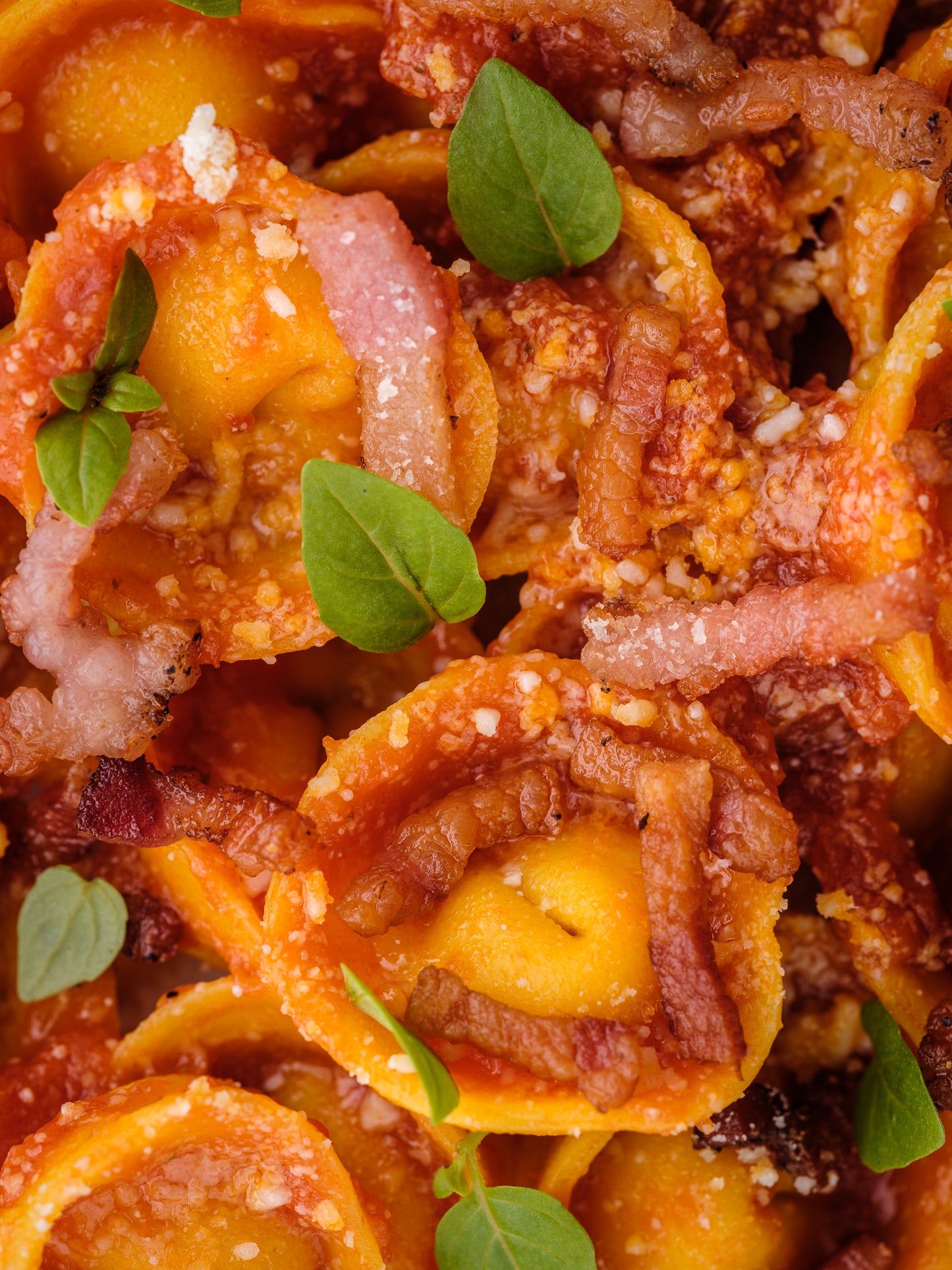 Cappelletti all'Amatriciana / Pomodoro sauce