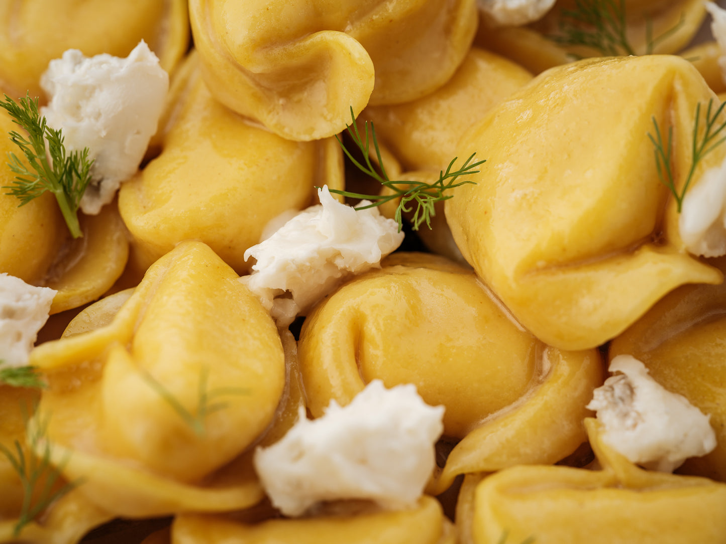 Tortellacci Gorgonzola/Pear/Bronze Fennel Butter